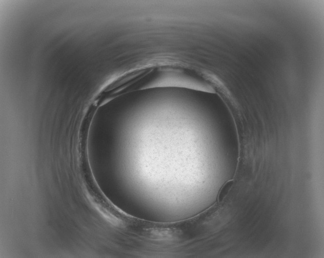 X0000081350439200701182051