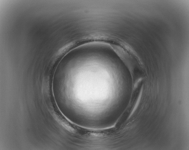 X0000081350442200701182051