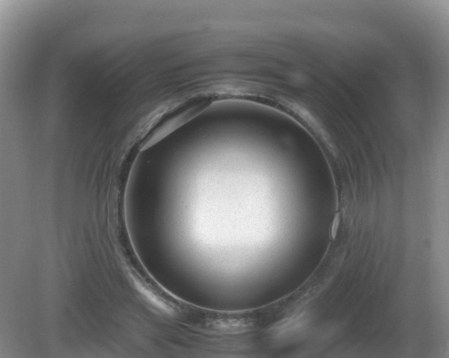 X0000081350445200701182051