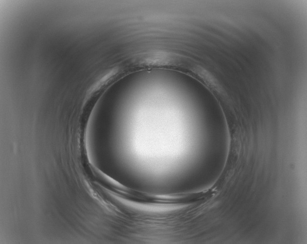 X0000081350446200701182051