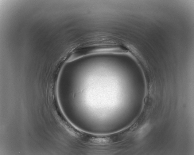 X0000081350449200701182051