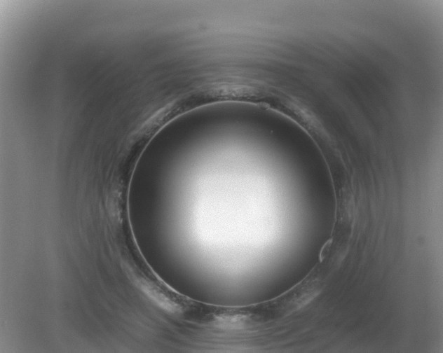 X0000081350450200701182051