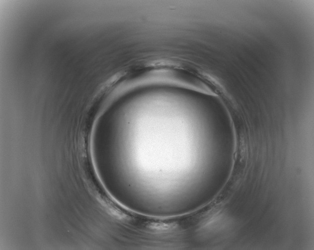 X0000081350453200701182051