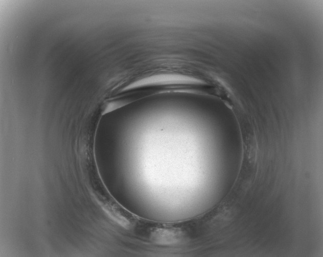 X0000081350455200701182051