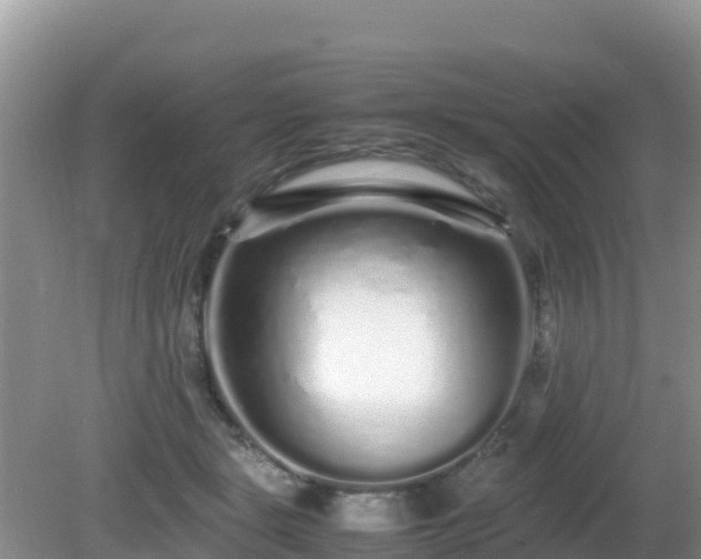 X0000081350461200701182051
