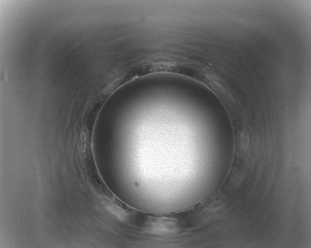 X0000081350463200701182051