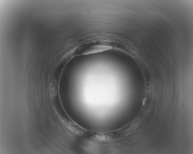 X0000081350464200701182051