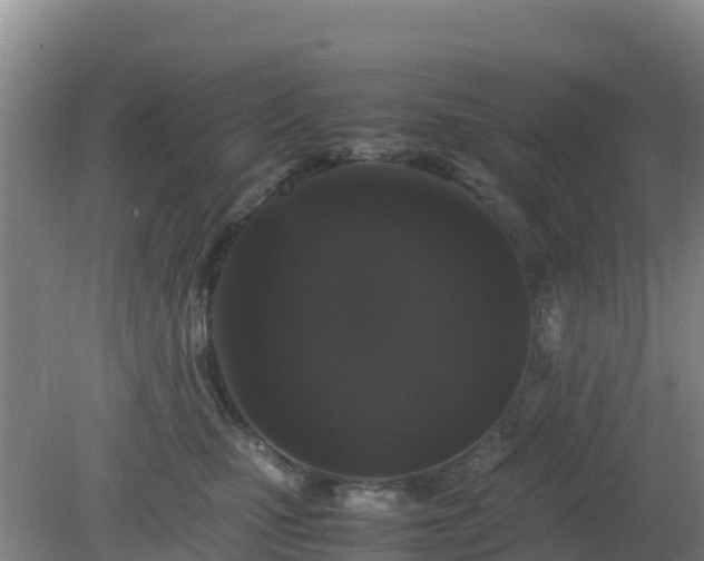 X0000081350471200701182051