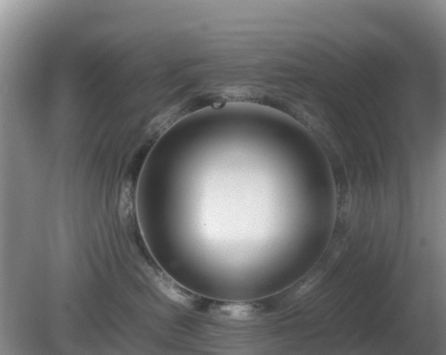 X0000081350478200701182051