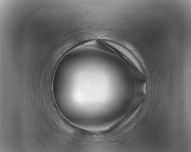 X0000081350481200701182051