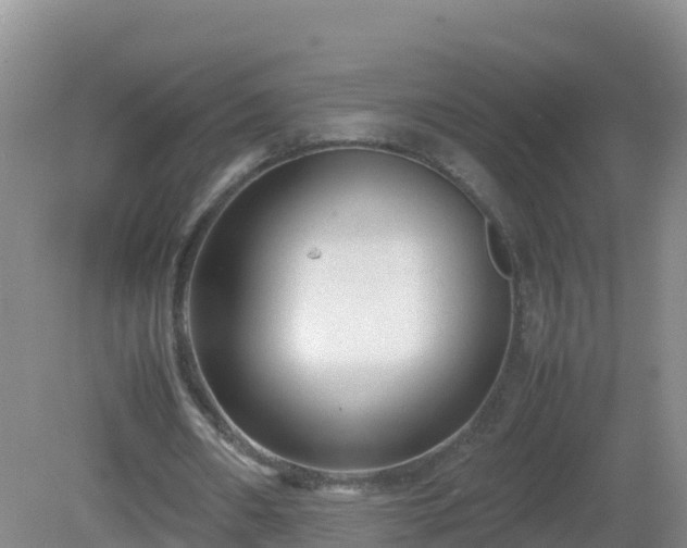 X0000081350482200701182051
