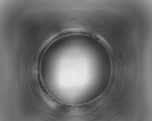 X0000081350486200701182050