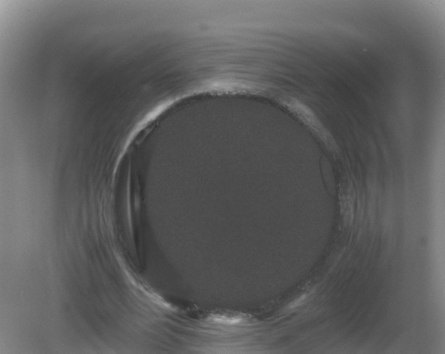 X0000081350488200701182050