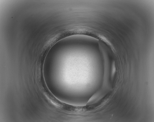 X0000081350493200701182050