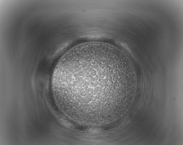X0000081350495200701182050