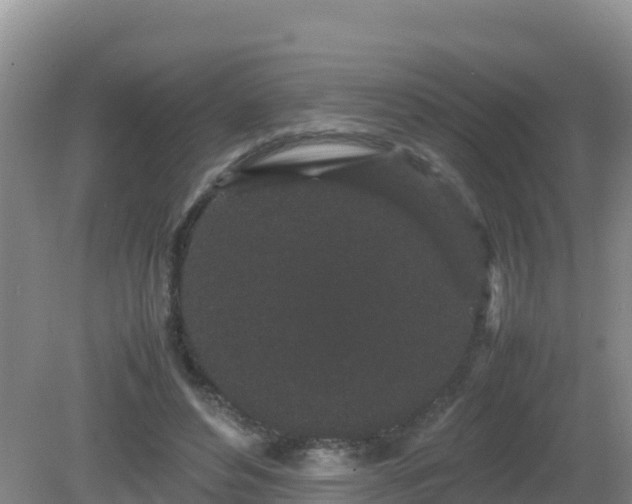 X0000081350496200701182050