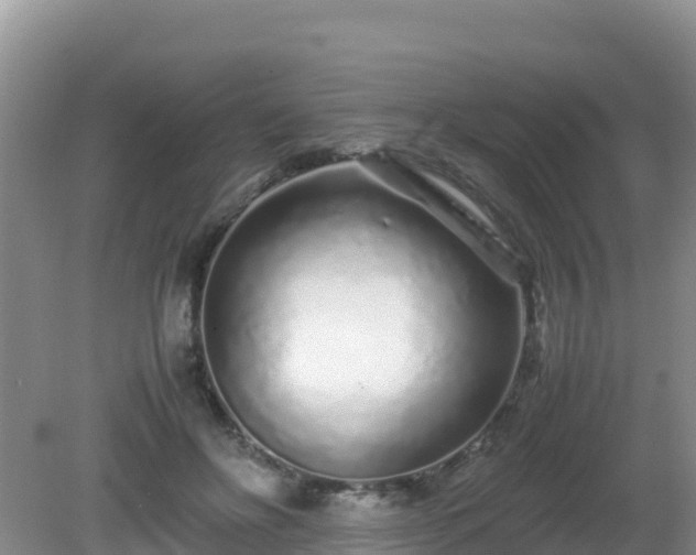 X0000081350502200701182050
