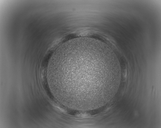 X0000081350503200701182050