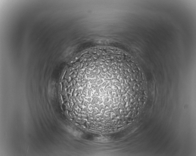 X0000081350511200701182050