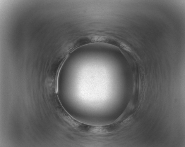 X0000081350521200701182050