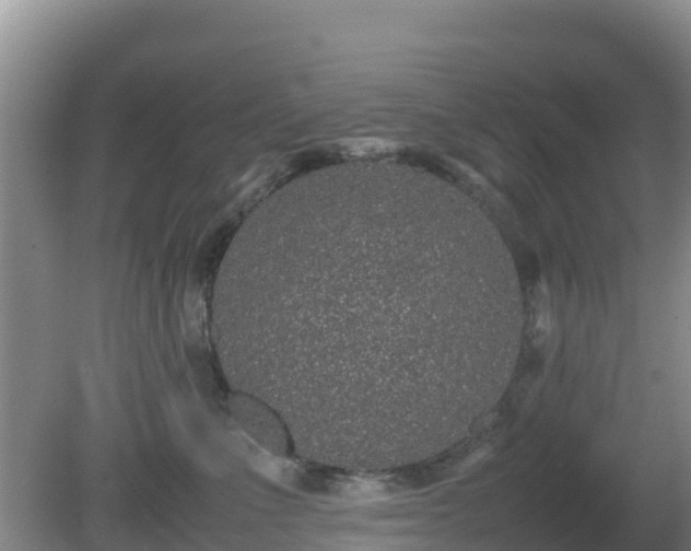 X0000081350523200701182050