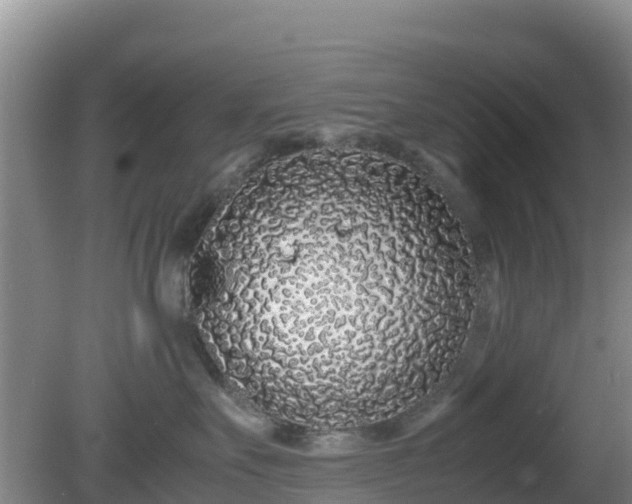 X0000081350527200701182050