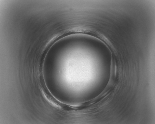 X0000081350530200701182049