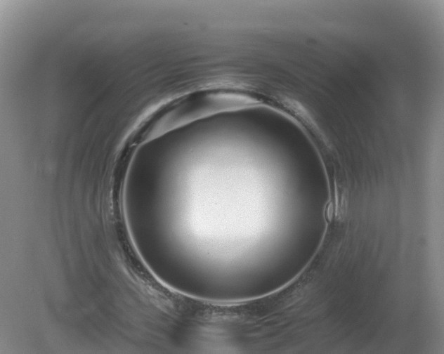 X0000081350531200701182049