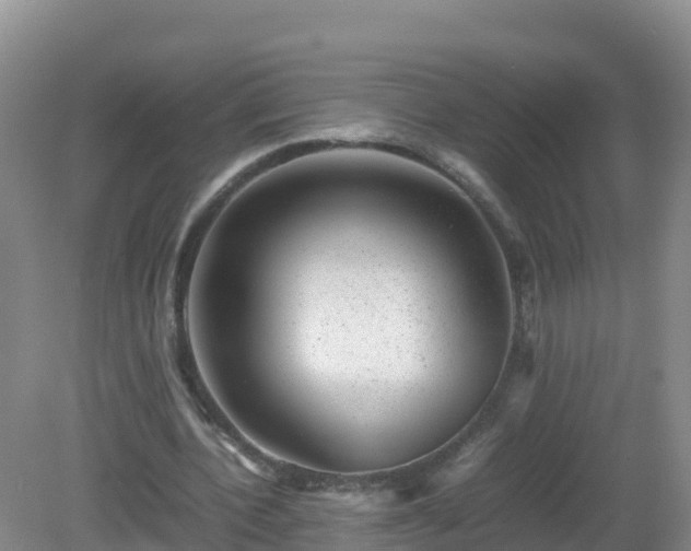 X0000081350532200701182049