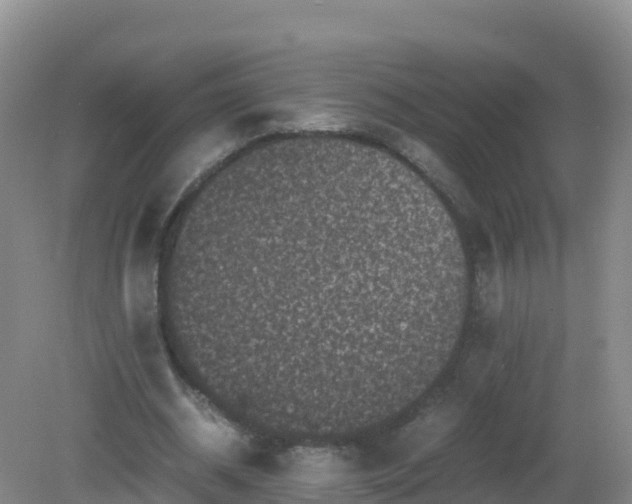 X0000081350534200701182049