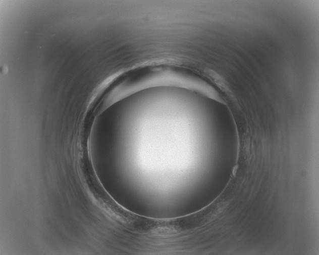 X0000081350536200701182049