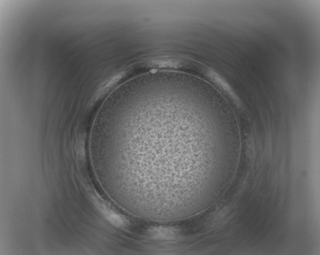 X0000081350537200701182049