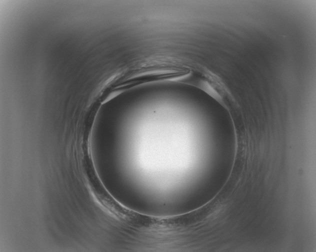 X0000081350538200701182049