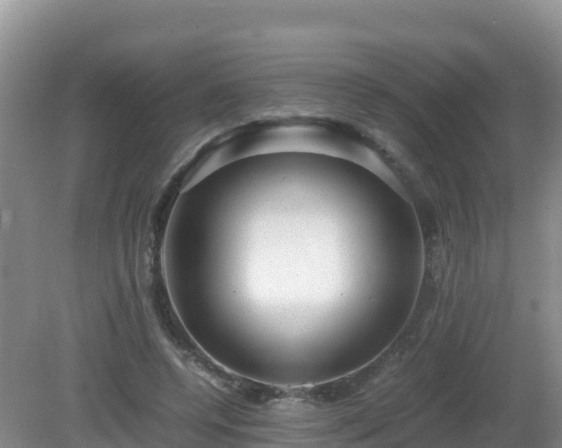 X0000081350544200701182049