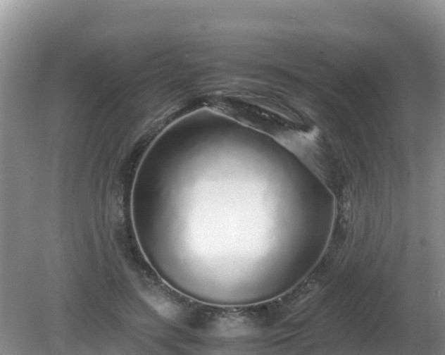 X0000081350547200701182049