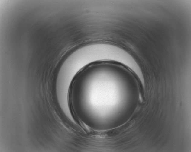 X0000081350548200701182049