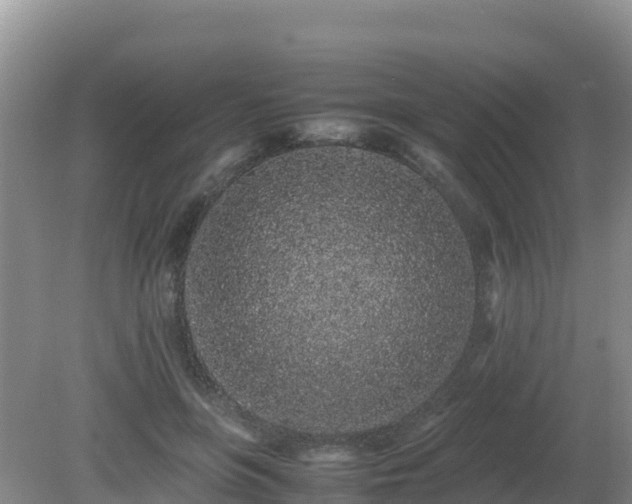 X0000081350551200701182049