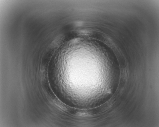 X0000081350557200701182049