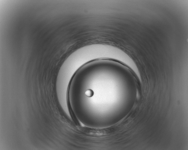 X0000081350559200701182049
