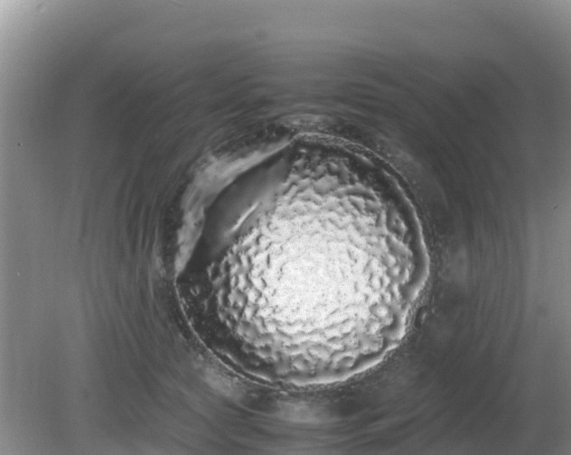 X0000081350561200701182049