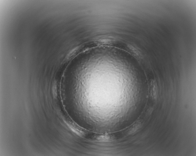 X0000081350562200701182049