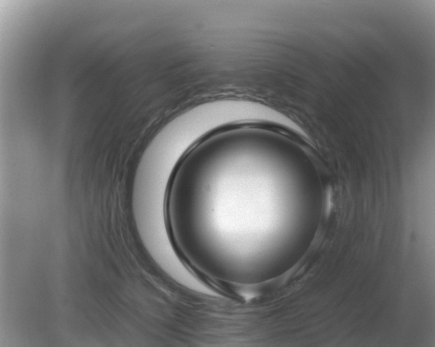 X0000081350564200701182050