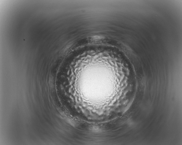 X0000081350565200701182050