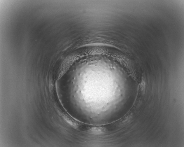 X0000081350566200701182050