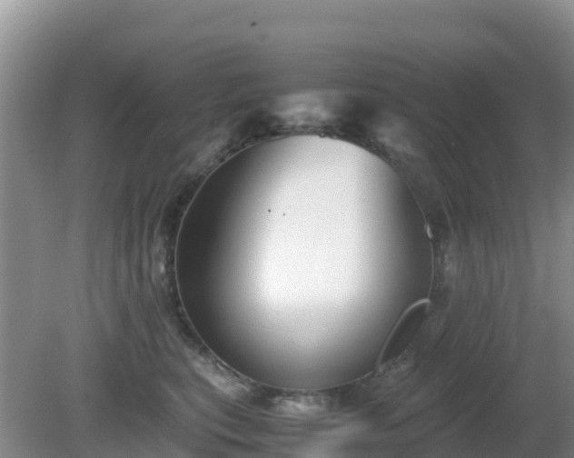 X0000081350567200701182050