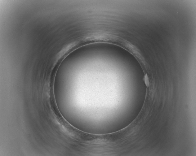 X0000081350578200701182049