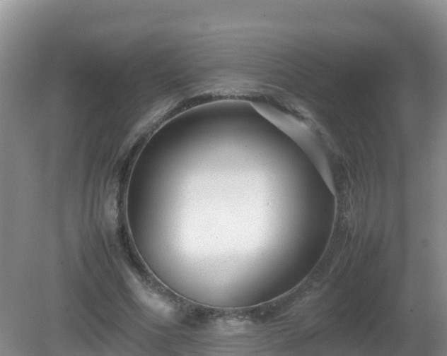 X0000081350586200701182049