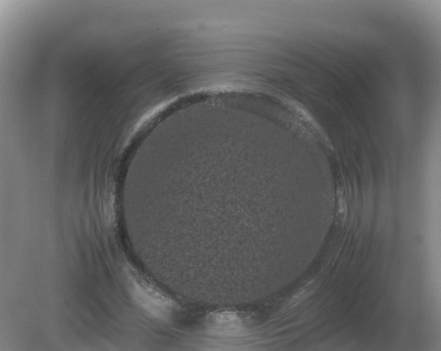 X0000081350588200701182049