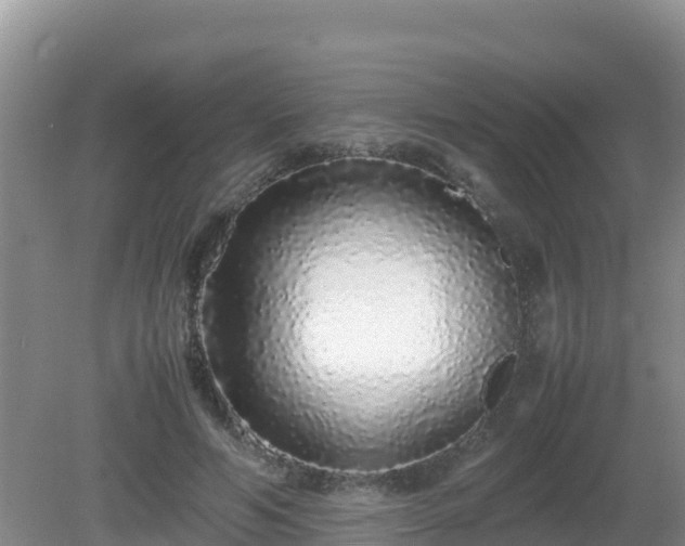 X0000081350594200701182049