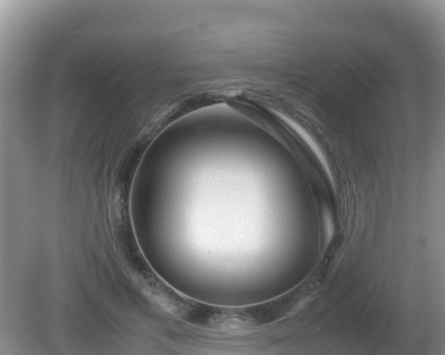X0000081350597200701182049